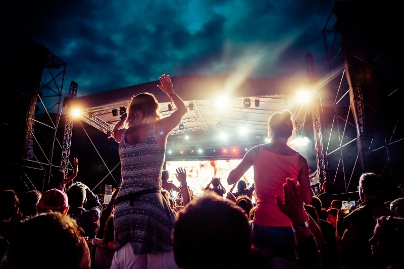 flowers / intricate flowers