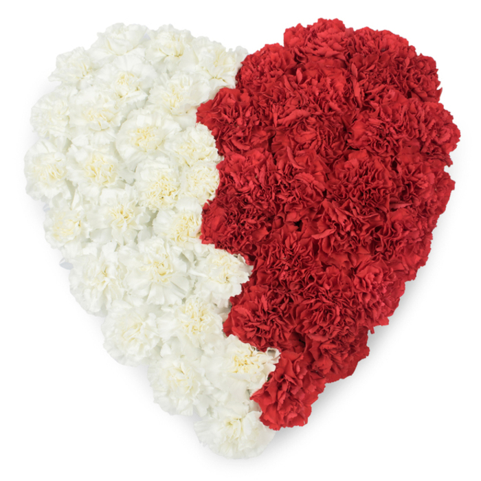 A striking, highly detailed overhead image of a large heart formed entirely from fresh carnations, the left half composed of creamy white blooms and the right of strong, saturated red - each flower tightly packed so that every frilled petal and layered corolla contributes to a lush, tactile surface. The two colour fields are divided by a prominent vertical seam where the red edge forms a serrated, saw-tooth profile, the separation marked by nine triangular points that give the silhouette a distinctly national connotation. This deliberate jagged boundary echoes the characteristic motif seen in certain national flags and lends the heart a ceremonial, patriotic quality, suitable for National Day commemorations, diplomatic wreaths, or cultural celebrations that require both floral finesse and symbolic clarity. The studio light is soft and diffuse, lifting the creamy tones on the white side while deepening the velvety richness of the red carnations, and the shadows between petals add depth without obscuring the arrangement's overall geometry. As a local florist familiar with Denmark Hill and nearby Herne Hill, I can picture this piece displayed at a civic reception or laid at a memorial close to Ruskin Park, its bold two-tone design communicating pride, love, and collective memory. The craftsmanship - even packing, neat outer contours, and a carefully considered serrated junction - ensures the heart reads unmistakably from above and at a distance, a floral emblem that marries technical skill with emotional resonance for any event invoking national identity or communal tribute.